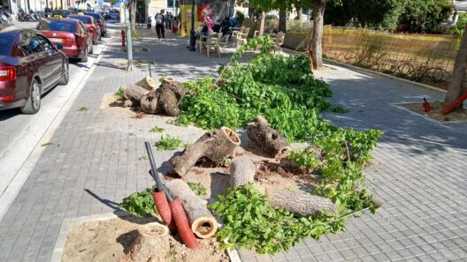 Πάτρα: Θλιβερό θέαμα στην Πλατεία Ολγας - Η απορία των περαστικών ΦΩΤΟ
