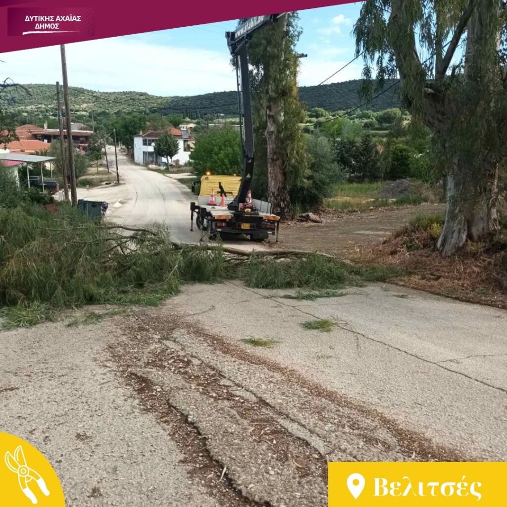 Δυτική Αχαΐα: Κλαδέματα δέντρων και καθαρισμός βλάστησης υπό τον φόβο πυρκαγιών ΦΩΤΟ 36 Δυτική Αχαΐα: Κλαδέματα δέντρων και καθαρισμός βλάστησης υπό τον φόβο πυρκαγιών ΦΩΤΟ