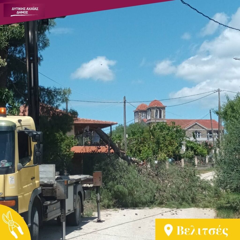 Δυτική Αχαΐα: Κλαδέματα δέντρων και καθαρισμός βλάστησης υπό τον φόβο πυρκαγιών ΦΩΤΟ 30 Δυτική Αχαΐα: Κλαδέματα δέντρων και καθαρισμός βλάστησης υπό τον φόβο πυρκαγιών ΦΩΤΟ