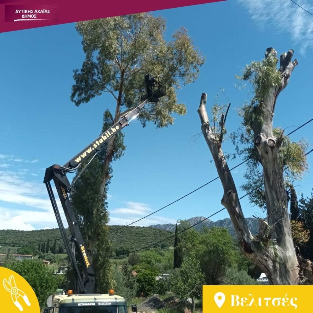 Δυτική Αχαΐα: Κλαδέματα δέντρων και καθαρισμός βλάστησης υπό τον φόβο πυρκαγιών ΦΩΤΟ 33 Δυτική Αχαΐα: Κλαδέματα δέντρων και καθαρισμός βλάστησης υπό τον φόβο πυρκαγιών ΦΩΤΟ