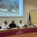 Δυτική Αχαΐα: Ένταξη του δήμου στην δακοκτονία ελιάς, για πρώτη φορά ΦΩΤΟ