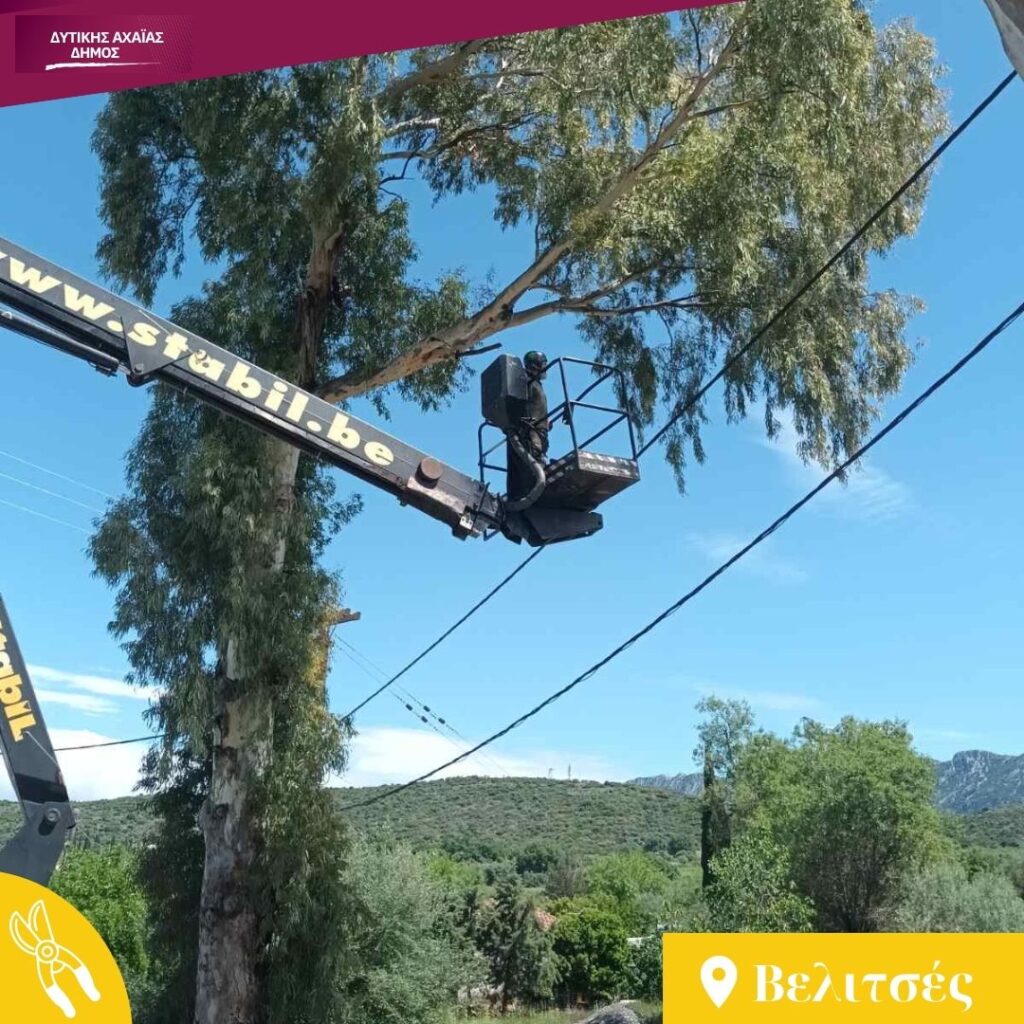 Δυτική Αχαΐα: Κλαδέματα δέντρων και καθαρισμός βλάστησης υπό τον φόβο πυρκαγιών ΦΩΤΟ 34 Δυτική Αχαΐα: Κλαδέματα δέντρων και καθαρισμός βλάστησης υπό τον φόβο πυρκαγιών ΦΩΤΟ