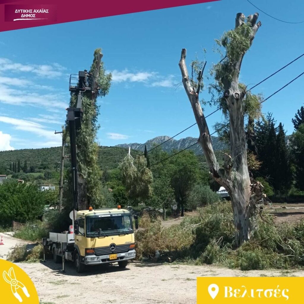 Δυτική Αχαΐα: Κλαδέματα δέντρων και καθαρισμός βλάστησης υπό τον φόβο πυρκαγιών ΦΩΤΟ 32 Δυτική Αχαΐα: Κλαδέματα δέντρων και καθαρισμός βλάστησης υπό τον φόβο πυρκαγιών ΦΩΤΟ