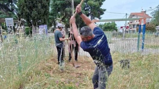 Το Ράδιο ταξί Πάτρας 18300 και ο Σύλλογος Αρόης, εθελοντικά, για το περιβάλλον ΦΩΤΟ 40 Το Ράδιο ταξί Πάτρας 18300 και ο Σύλλογος Αρόης, εθελοντικά, για το περιβάλλον ΦΩΤΟ