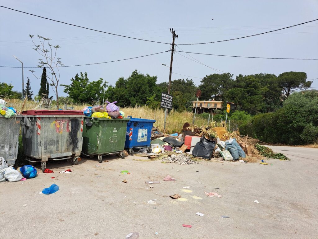 Πάτρα: Δεν πάνε πλατεία...μην τους φάνε τα φίδια ΦΩΤΟ 32 Πάτρα: Δεν πάνε πλατεία...μην τους φάνε τα φίδια ΦΩΤΟ