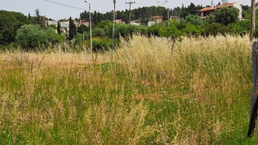 Πάτρα: Δεν πάνε πλατεία...μην τους φάνε τα φίδια ΦΩΤΟ 38 Πάτρα: Δεν πάνε πλατεία...μην τους φάνε τα φίδια ΦΩΤΟ
