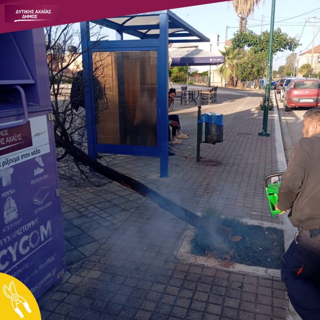 Δυτική Αχαΐα: Στο «φουλ» οι καθαρισμοί για να προλάβουν τις φωτιές ΦΩΤΟ