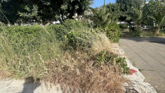 Πάτρα: Παραλιακό μέτωπο σε φθορά – Εγκατάλειψη στον μώλο Αγίου Νικολάου ΦΩΤΟ 39 Πάτρα: Παραλιακό μέτωπο σε φθορά – Εγκατάλειψη στον μώλο Αγίου Νικολάου ΦΩΤΟ