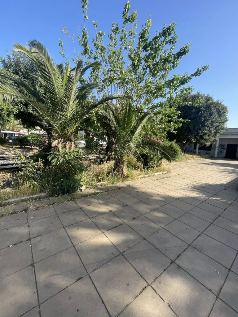 Πάτρα: Παραλιακό μέτωπο σε φθορά – Εγκατάλειψη στον μώλο Αγίου Νικολάου ΦΩΤΟ 29 Πάτρα: Παραλιακό μέτωπο σε φθορά – Εγκατάλειψη στον μώλο Αγίου Νικολάου ΦΩΤΟ