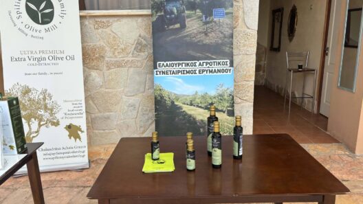 Πλούσια δράση στον χώρο της Αχαϊκής γης ΦΩΤΟ 37 Πλούσια δράση στον χώρο της Αχαϊκής γης ΦΩΤΟ