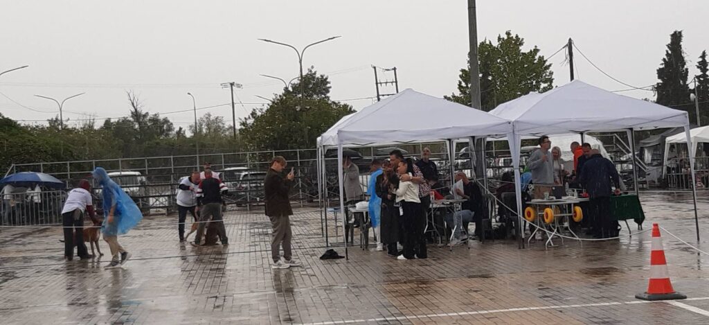 Η 1η Διεθνής Έκθεση καθαρόαιμων σκύλων στην Πάτρα ΦΩΤΟ 29 Η 1η Διεθνής Έκθεση καθαρόαιμων σκύλων στην Πάτρα ΦΩΤΟ