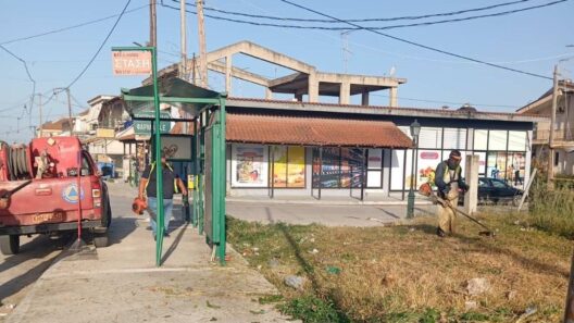 Δυτική Αχαΐα: Στο «φουλ» οι καθαρισμοί για να προλάβουν τις φωτιές ΦΩΤΟ 36 Δυτική Αχαΐα: Στο «φουλ» οι καθαρισμοί για να προλάβουν τις φωτιές ΦΩΤΟ