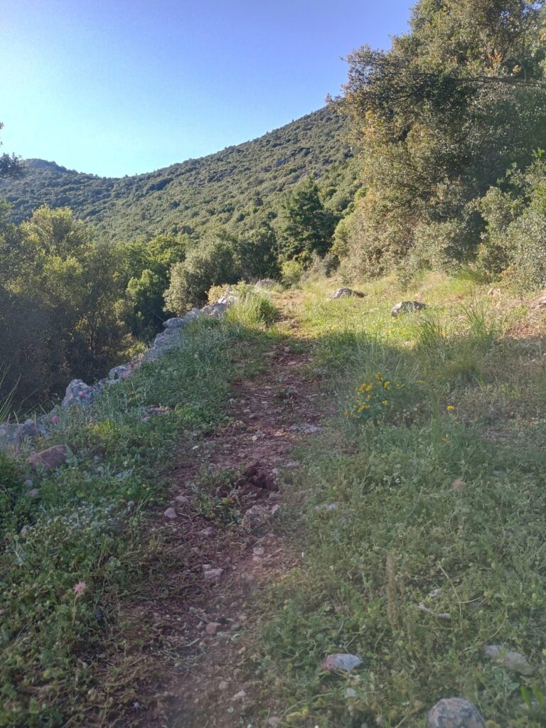 Καθαρισμός του μονοπατιού Ε4 από τον ΕΟΣ Κλειτορίας ΦΩΤΟ 31 Καθαρισμός του μονοπατιού Ε4 από τον ΕΟΣ Κλειτορίας ΦΩΤΟ