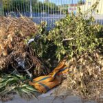 Πάτρα: Βρωμιά και ποντίκια...με το καλημέρα σε σχολεία ΦΩΤΟ
