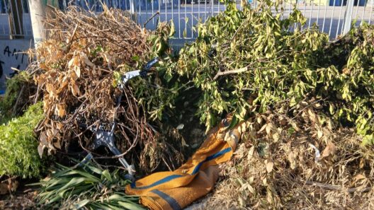 Πάτρα: Βρωμιά και ποντίκια...με το καλημέρα σε σχολεία ΦΩΤΟ 38 Πάτρα: Βρωμιά και ποντίκια...με το καλημέρα σε σχολεία ΦΩΤΟ