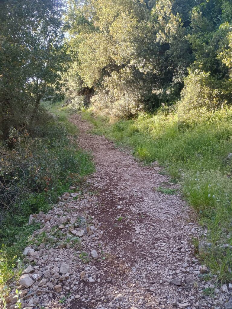 Καθαρισμός του μονοπατιού Ε4 από τον ΕΟΣ Κλειτορίας ΦΩΤΟ