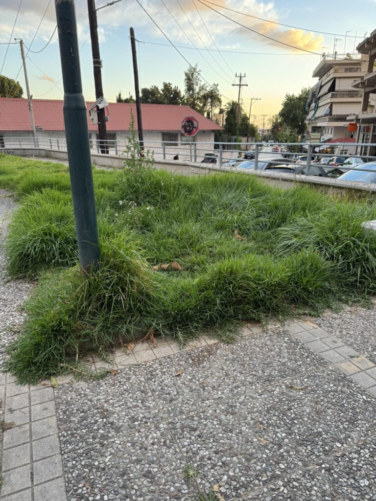 Πάτρα: Πλατεία για...πρόβατα αντί για παιδιά - Ελέω Δήμου ΦΩΤΟ 37 Πάτρα: Πλατεία για...πρόβατα αντί για παιδιά - Ελέω Δήμου ΦΩΤΟ
