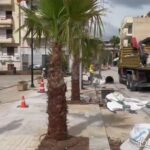 Αίγιο: «Εκπληξη» με...φοίνικες στην Ανάπαλση της οδού Μητροπόλεως ΦΩΤΟ
