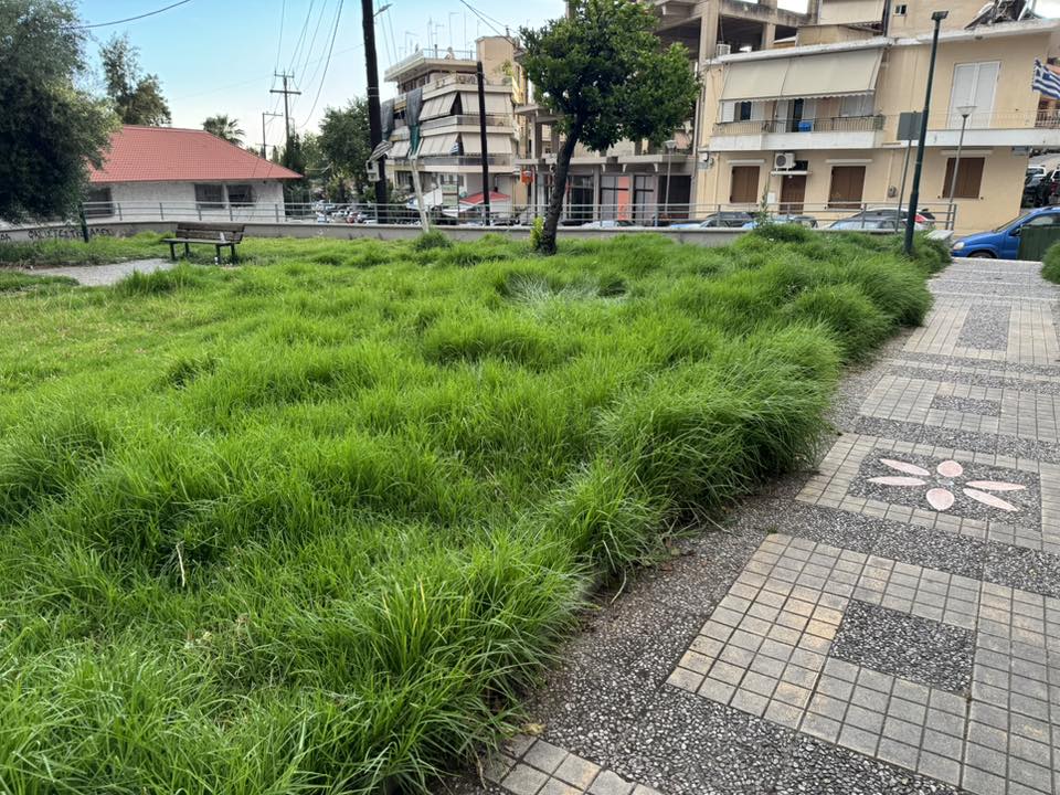 Πάτρα: Πλατεία για...πρόβατα αντί για παιδιά - Ελέω Δήμου ΦΩΤΟ 36 Πάτρα: Πλατεία για...πρόβατα αντί για παιδιά - Ελέω Δήμου ΦΩΤΟ