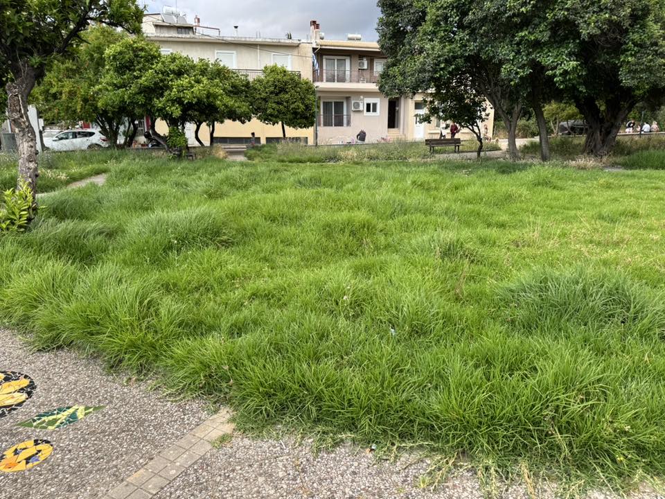 Πάτρα: Πλατεία για...πρόβατα αντί για παιδιά - Ελέω Δήμου ΦΩΤΟ 31 Πάτρα: Πλατεία για...πρόβατα αντί για παιδιά - Ελέω Δήμου ΦΩΤΟ