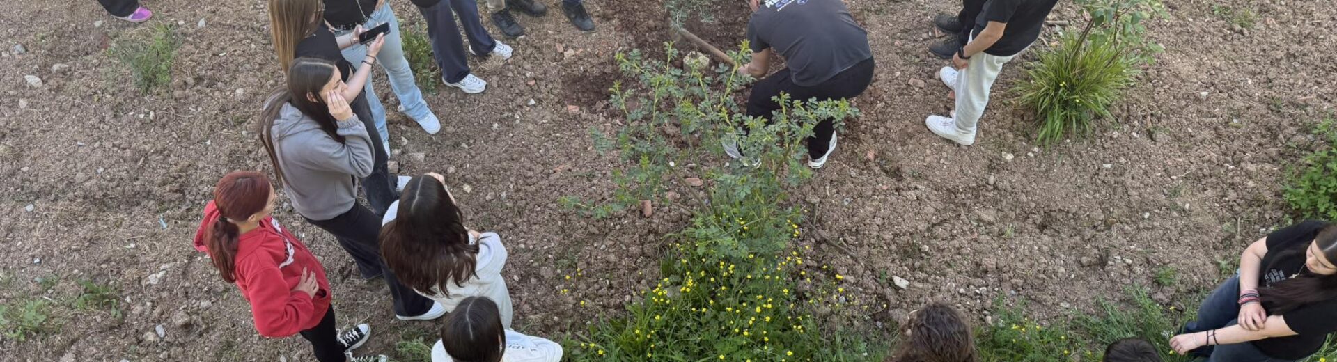 «Φυτεύουμε για το Κλίμα και την Ευρώπη» από το Λύκειο Κλειτορίας ΦΩΤΟ