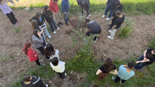 «Φυτεύουμε για το Κλίμα και την Ευρώπη» από το Λύκειο Κλειτορίας ΦΩΤΟ