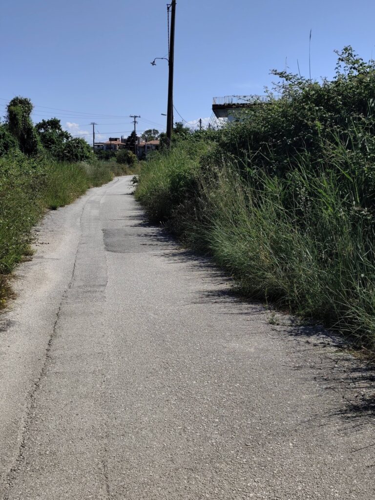 Πάτρα: Η «ζούγκλα» που απειλεί την Παραλία της Εύας και ο αδιάφορος ΟΣΕ ΦΩΤΟ 30 Πάτρα: Η «ζούγκλα» που απειλεί την Παραλία της Εύας και ο αδιάφορος ΟΣΕ ΦΩΤΟ