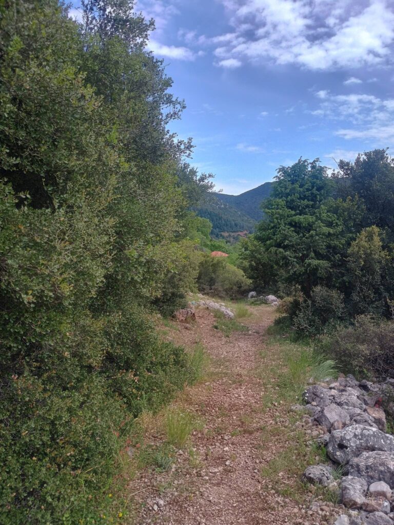Καθαρισμός του μονοπατιού Ε4 από τον ΕΟΣ Κλειτορίας ΦΩΤΟ 30 Καθαρισμός του μονοπατιού Ε4 από τον ΕΟΣ Κλειτορίας ΦΩΤΟ