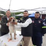Η 1η Διεθνής Έκθεση καθαρόαιμων σκύλων στην Πάτρα ΦΩΤΟ