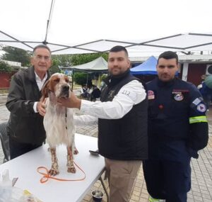 Η 1η Διεθνής Έκθεση καθαρόαιμων σκύλων στην Πάτρα ΦΩΤΟ