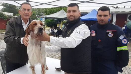 Η 1η Διεθνής Έκθεση καθαρόαιμων σκύλων στην Πάτρα ΦΩΤΟ 47 Η 1η Διεθνής Έκθεση καθαρόαιμων σκύλων στην Πάτρα ΦΩΤΟ