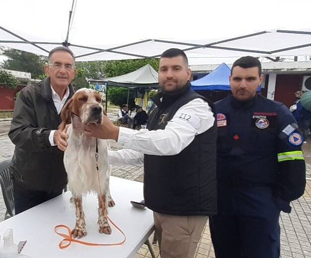 Η 1η Διεθνής Έκθεση καθαρόαιμων σκύλων στην Πάτρα ΦΩΤΟ