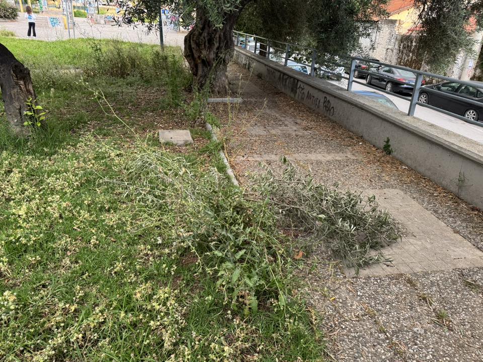 Πάτρα: Πλατεία για...πρόβατα αντί για παιδιά - Ελέω Δήμου ΦΩΤΟ 32 Πάτρα: Πλατεία για...πρόβατα αντί για παιδιά - Ελέω Δήμου ΦΩΤΟ