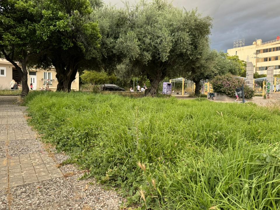 Πάτρα: Πλατεία για...πρόβατα αντί για παιδιά - Ελέω Δήμου ΦΩΤΟ 34 Πάτρα: Πλατεία για...πρόβατα αντί για παιδιά - Ελέω Δήμου ΦΩΤΟ