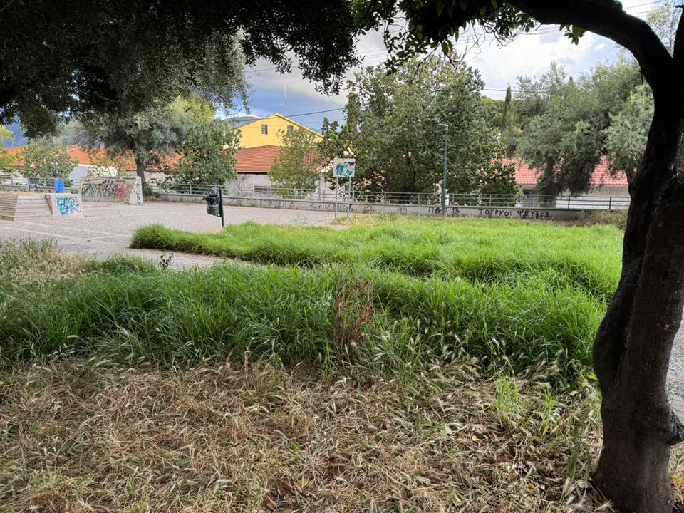 Πάτρα: Πλατεία για...πρόβατα αντί για παιδιά - Ελέω Δήμου ΦΩΤΟ 39 Πάτρα: Πλατεία για...πρόβατα αντί για παιδιά - Ελέω Δήμου ΦΩΤΟ