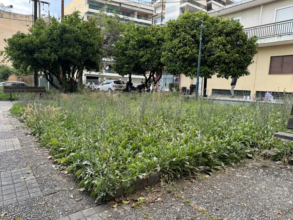 Πάτρα: Πλατεία για...πρόβατα αντί για παιδιά - Ελέω Δήμου ΦΩΤΟ 38 Πάτρα: Πλατεία για...πρόβατα αντί για παιδιά - Ελέω Δήμου ΦΩΤΟ