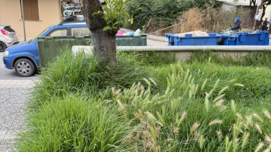 Πάτρα: Πλατεία για...πρόβατα αντί για παιδιά - Ελέω Δήμου ΦΩΤΟ 37 Πάτρα: Πλατεία για...πρόβατα αντί για παιδιά - Ελέω Δήμου ΦΩΤΟ