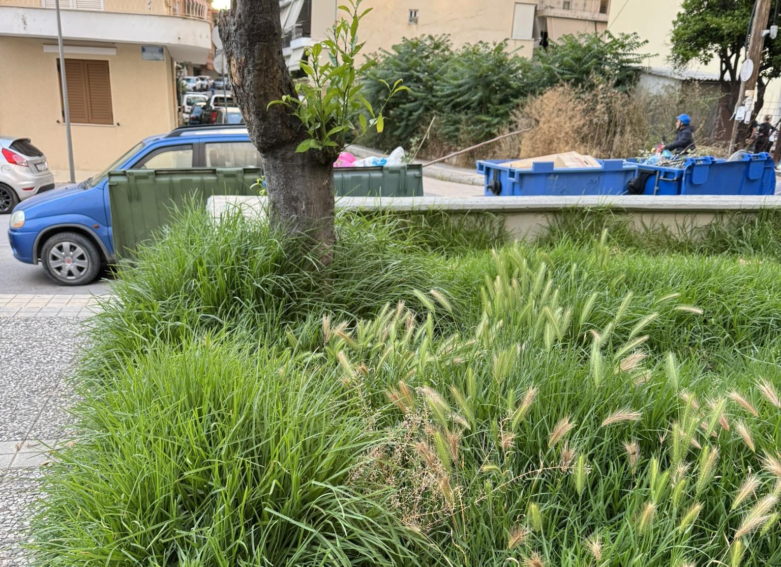 Πάτρα: Πλατεία για...πρόβατα αντί για παιδιά - Ελέω Δήμου ΦΩΤΟ 4 Πάτρα: Πλατεία για...πρόβατα αντί για παιδιά - Ελέω Δήμου ΦΩΤΟ