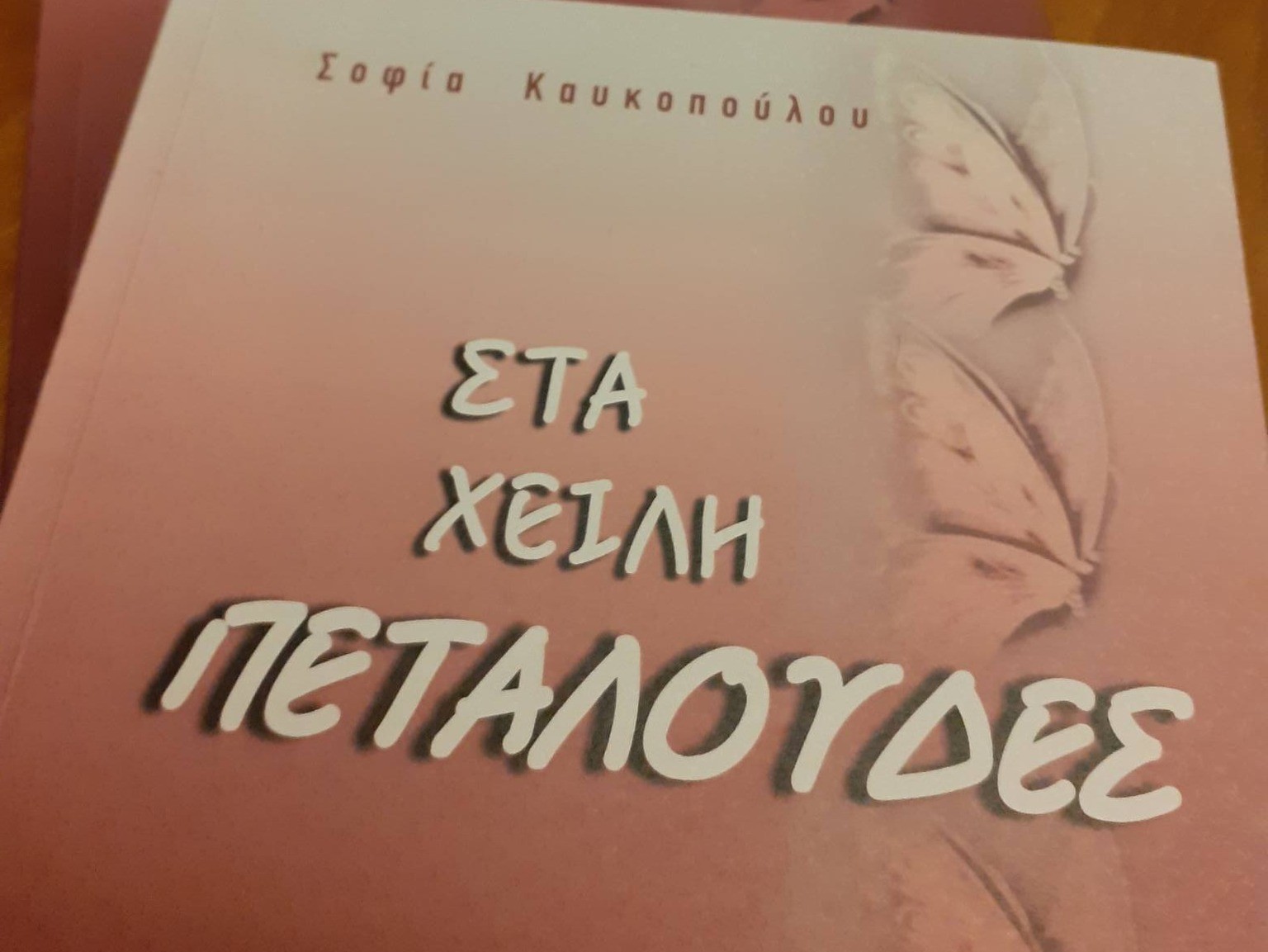 Παρουσίαση της νέας ποιητικής συλλογής της Σοφίας Καυκοπούλου στην Πάτρα ΦΩΤΟ 35 Παρουσίαση της νέας ποιητικής συλλογής της Σοφίας Καυκοπούλου στην Πάτρα ΦΩΤΟ