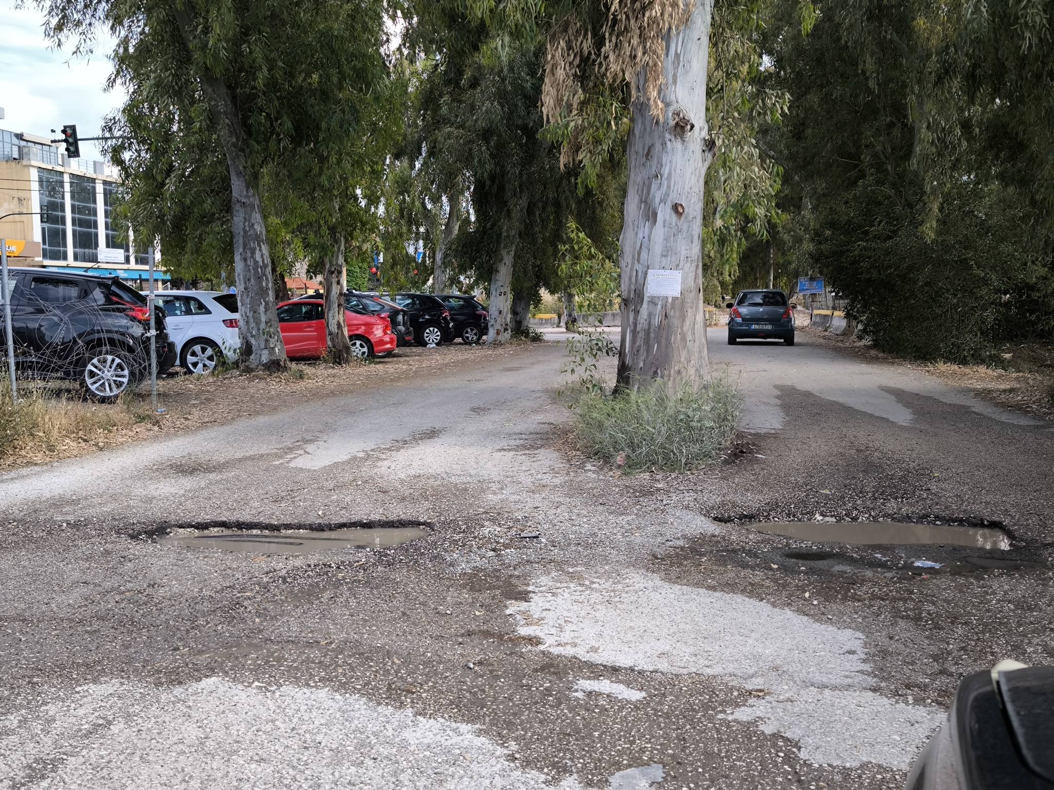 Πάτρα: Αρχισε να «μπάζει» το Νότιο Πάρκο με επικινδυνότητα ΦΩΤΟ