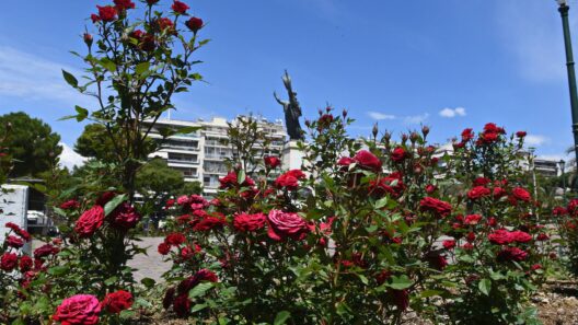 Πάτρα: Στα «κόκκινα»...από την δημοτική αρχή Πελετίδη, Ψηλά Αλώνια και κεντρικές πλατείες 36 Πάτρα: Στα «κόκκινα»...από την δημοτική αρχή Πελετίδη, Ψηλά Αλώνια και κεντρικές πλατείες