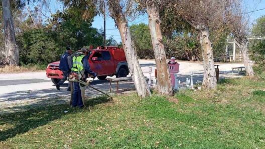 Κάτω Αχαΐα: Ετοιμασίες για επισκέπτες σε καθαρό περιβάλλον ΦΩΤΟ 36 Κάτω Αχαΐα: Ετοιμασίες για επισκέπτες σε καθαρό περιβάλλον ΦΩΤΟ