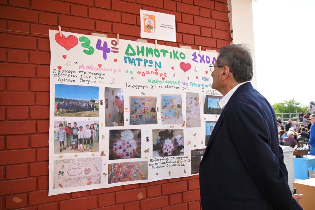 Πάτρα: Διαχείριση των αδέσποτων με Φιλόζωϊκές και Εθελοντές ΦΩΤΟ 31 Πάτρα: Διαχείριση των αδέσποτων με Φιλόζωϊκές και Εθελοντές ΦΩΤΟ