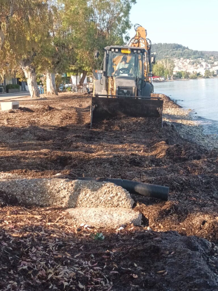 Μονοδένδρι: Παραλία και δρόμος ετοιμάζονται για λουόμενους και θαμώνες ΦΩΤΟ 33 Μονοδένδρι: Παραλία και δρόμος ετοιμάζονται για λουόμενους και θαμώνες ΦΩΤΟ