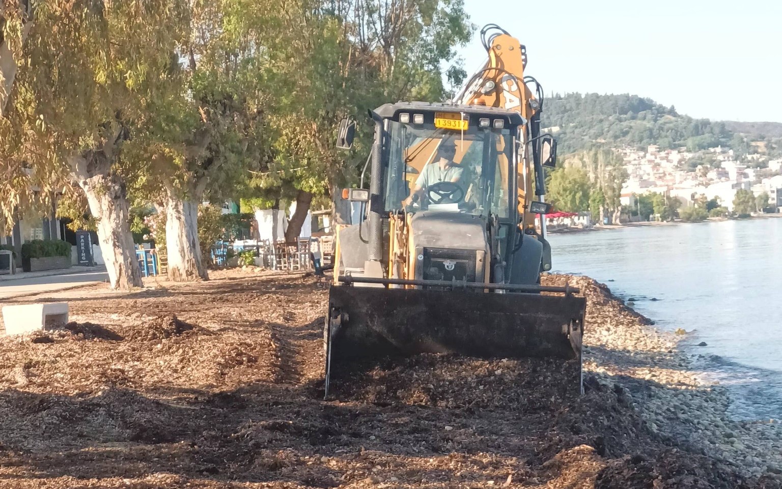 Μονοδένδρι: Παραλία και δρόμος ετοιμάζονται για λουόμενους και θαμώνες ΦΩΤΟ 4 Μονοδένδρι: Παραλία και δρόμος ετοιμάζονται για λουόμενους και θαμώνες ΦΩΤΟ