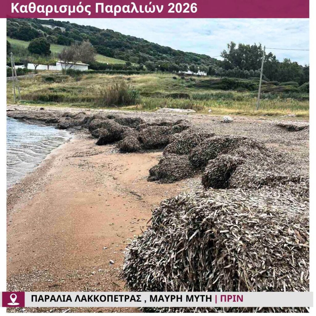 Δυτική Αχαΐα: «Αγνώριστες» γίνονται οι παραλίες για να υποδεχθούν δημότες και τουρίστες