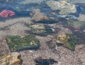 Πάτρα: Απαράδεκτη η κατάσταση στην παραλία Ιτεών και στον Γλαύκο ΦΩΤΟ