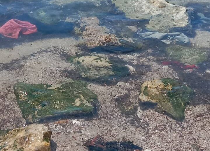 Πάτρα: Απαράδεκτη η κατάσταση στην παραλία Ιτεών και στον Γλαύκο ΦΩΤΟ