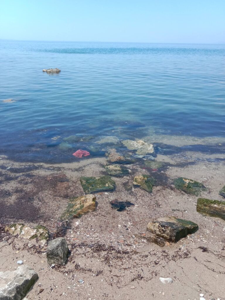 Πάτρα: Απαράδεκτη η κατάσταση στην παραλία Ιτεών και στον Γλαύκο ΦΩΤΟ 29 Πάτρα: Απαράδεκτη η κατάσταση στην παραλία Ιτεών και στον Γλαύκο ΦΩΤΟ