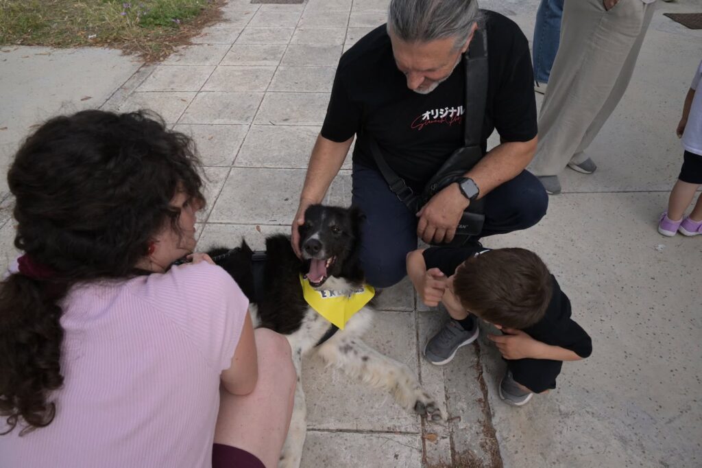 Πάτρα: Διαχείριση των αδέσποτων με Φιλόζωϊκές και Εθελοντές ΦΩΤΟ 38 Πάτρα: Διαχείριση των αδέσποτων με Φιλόζωϊκές και Εθελοντές ΦΩΤΟ